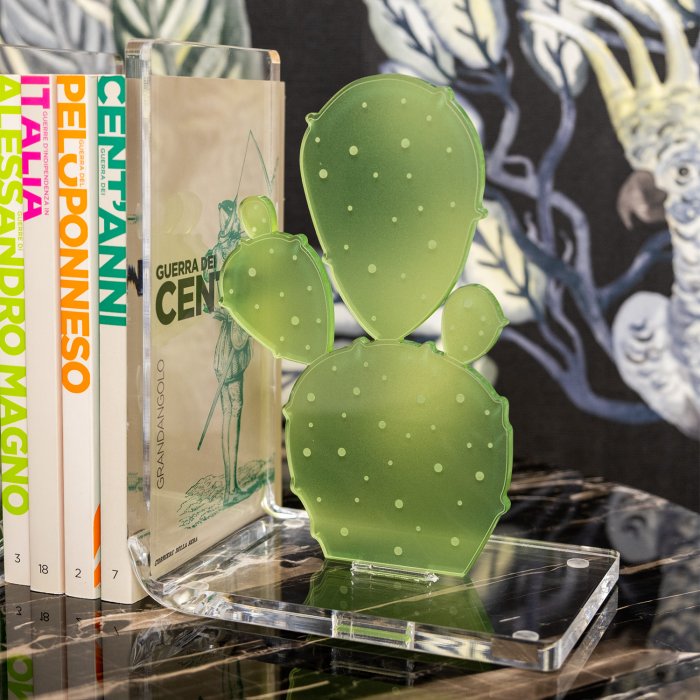 CACTUS - LEGGILIBRO - VESTA