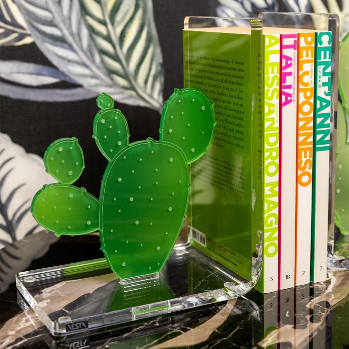 CACTUS - LEGGILIBRO - VESTA